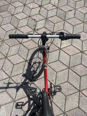 Otroško kolo znamke Rog, 20 col
