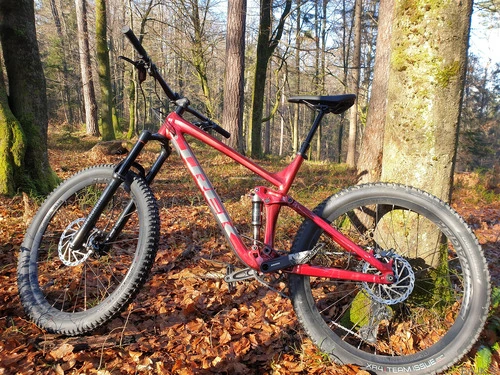 Trek Remedy 7