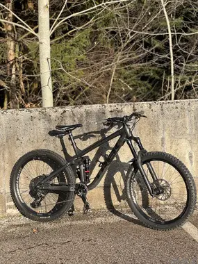 Trek Remedy 8