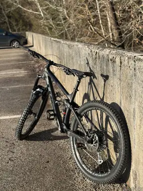 Trek Remedy 8