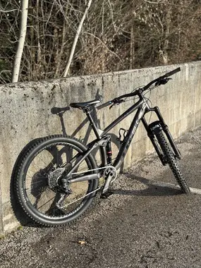 Trek Remedy 8