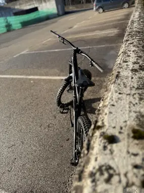 Trek Remedy 8