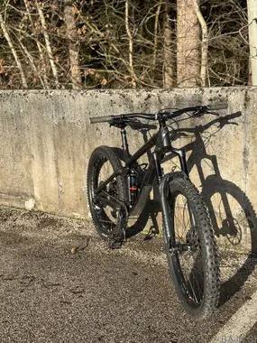 Trek Remedy 8