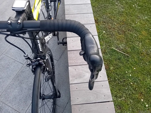 MOSER 111