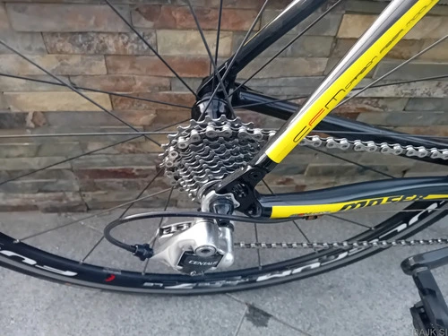 MOSER 111