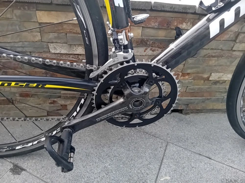 MOSER 111