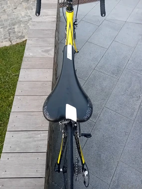 MOSER 111