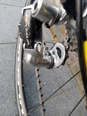 MOSER 111