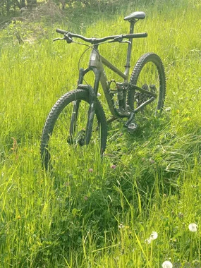 Marin Rift Zone 1 29