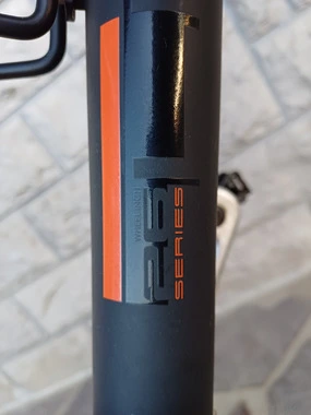 Leader Fox mountain bike