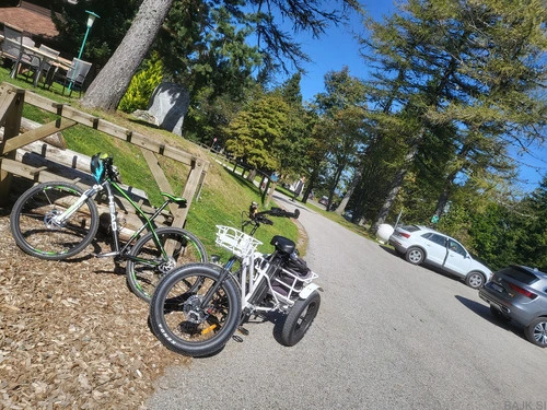 Cargo trikolesnik Ristar R706, e-trikolesnik