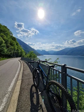 Trek Roscoe 8