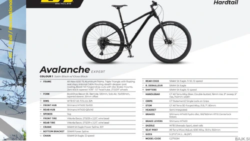 GT avalanche expert