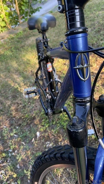 Schwinn Mesa