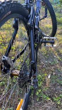 Schwinn Mesa