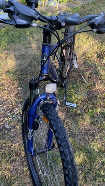 Schwinn Mesa