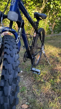Schwinn Mesa