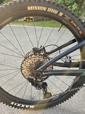 Giant reign 1 2023 (L)