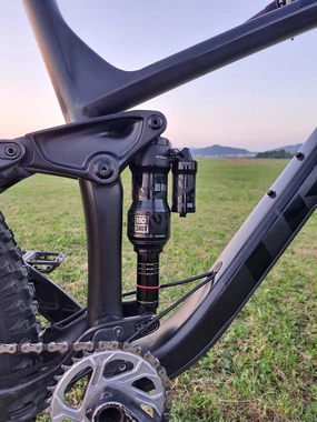 Trek Remedy 8