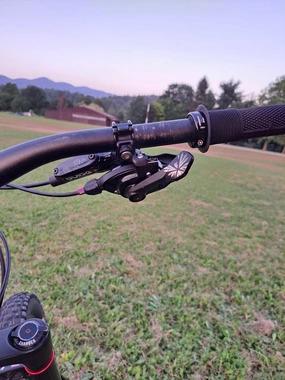 Trek Remedy 8