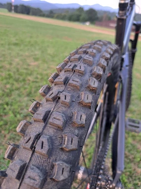 Trek Remedy 8