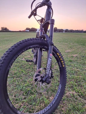 Trek Remedy 8