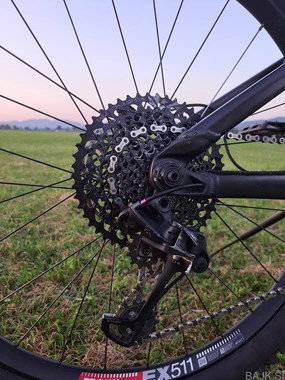 Trek Remedy 8