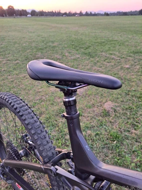 Trek Remedy 8