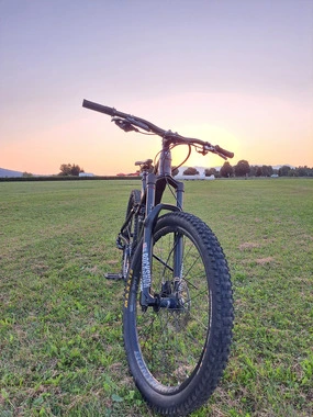 Trek Remedy 8