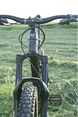 Trek Remedy 8
