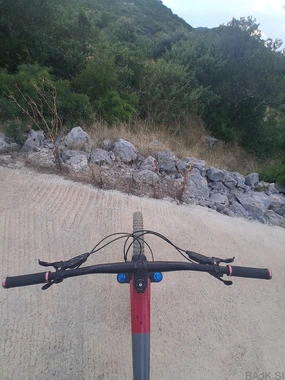 YT Capra Uncaged 10 CF