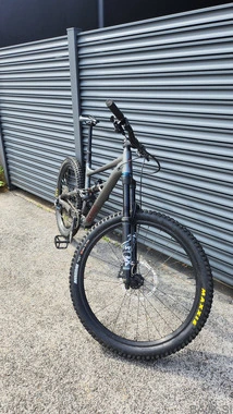 specialized status