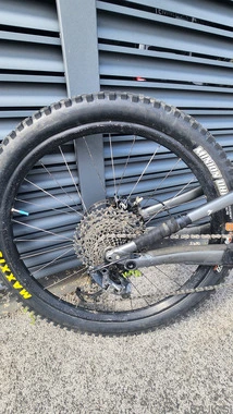specialized status