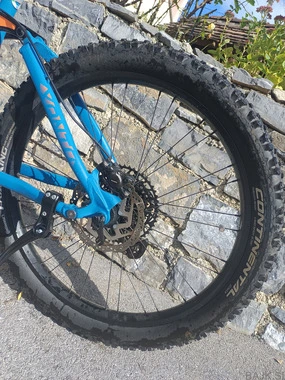 Torpado xanto Z