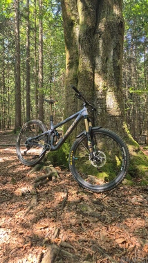 Pivot Switchblade v2 Pro XT/ XTR