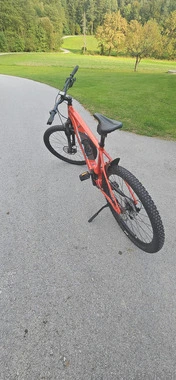 Specialized  levo