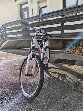 Fuji kolo dobeo ohranjeno poceni