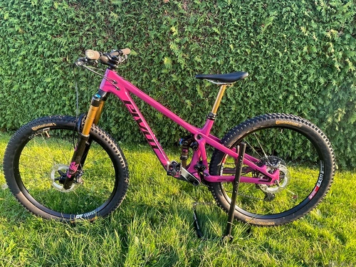 Pivot Shadowcat Pro XT/XTR
