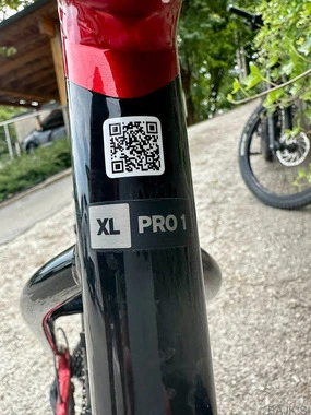 Prodam električno gorsko kolo Giant
