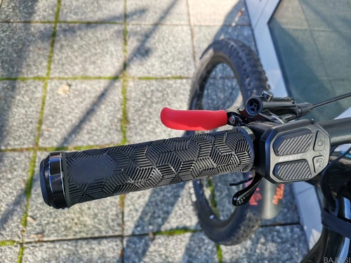 Giant Trance E+2 Pro