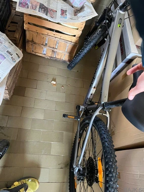 Cannondale trail zensko