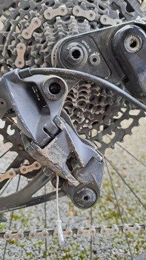 Canyon spectral cf 7