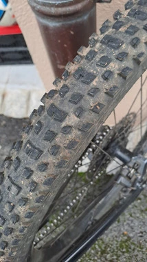 Canyon spectral cf 7