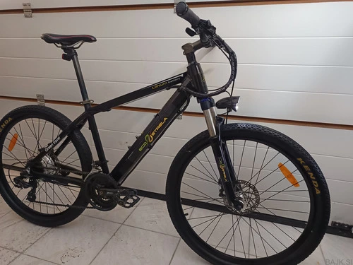 Mladinsko električno kolo