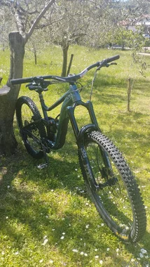 Giant Reign 1