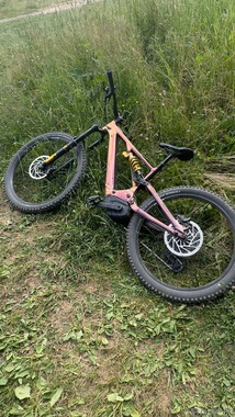 Specialized Turbo Levo Alloy (Limited Edition)