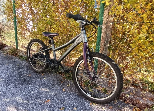 Centurion R bock 20 Team