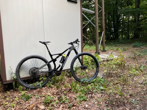 Cannodale scalpel lefty