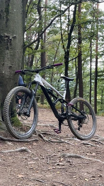 cannodale custom build