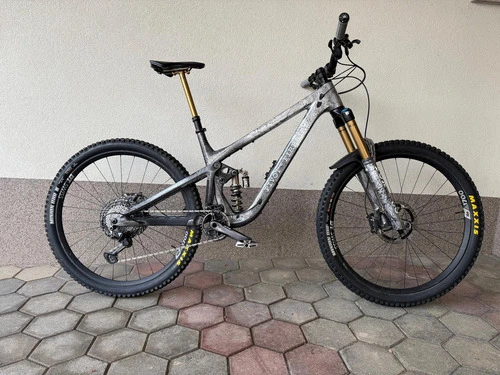 Pivot Firebird Large CUSTOM!